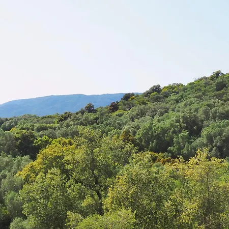 De Charme A Ogliastrello Holiday home