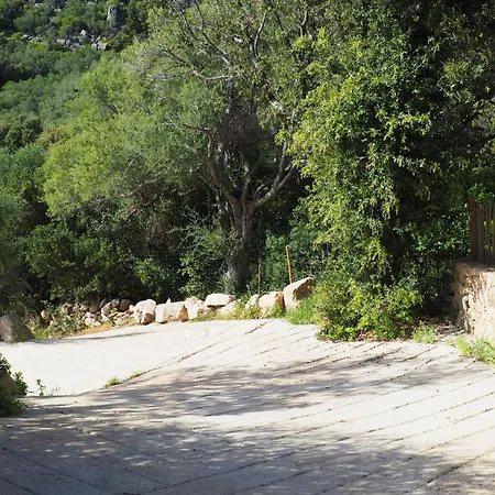 De Charme A Ogliastrello Figari (Corsica)